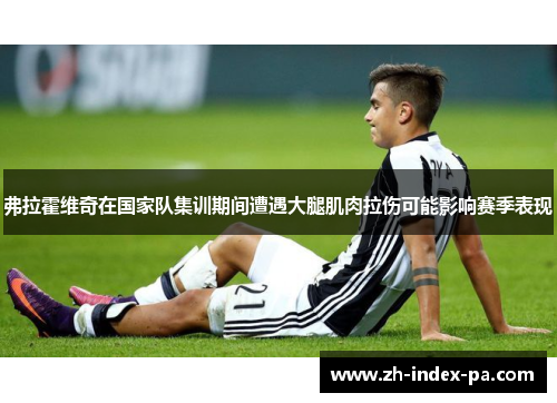 弗拉霍维奇在国家队集训期间遭遇大腿肌肉拉伤可能影响赛季表现 弗拉霍维奇在国家队集训期间遭遇大腿肌肉拉伤可能影响赛季表现