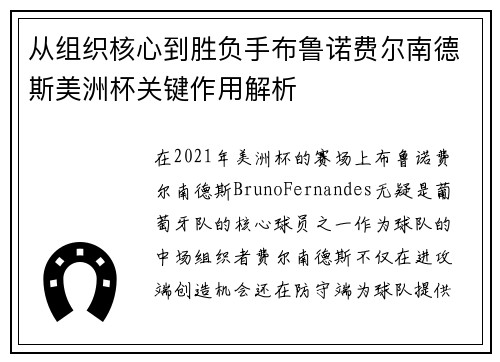 从组织核心到胜负手布鲁诺费尔南德斯美洲杯关键作用解析